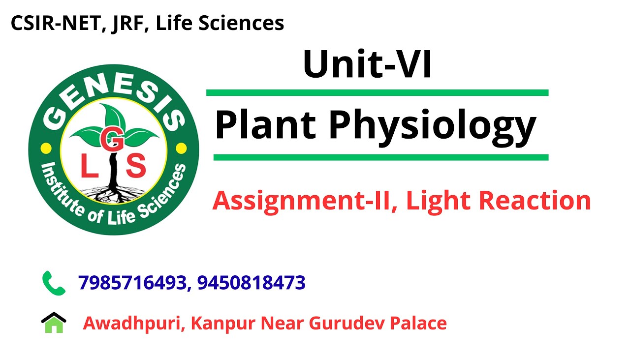 MCQs | Assignment II | Photosynthesis Light Reaction |#genesis_institute#genesis_institute