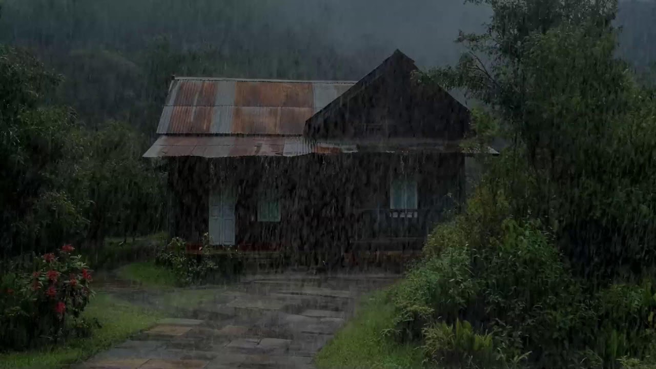 Paix retrouvée 🌧️ Sons de pluie à la campagne pour un sommeil apaisé et profond