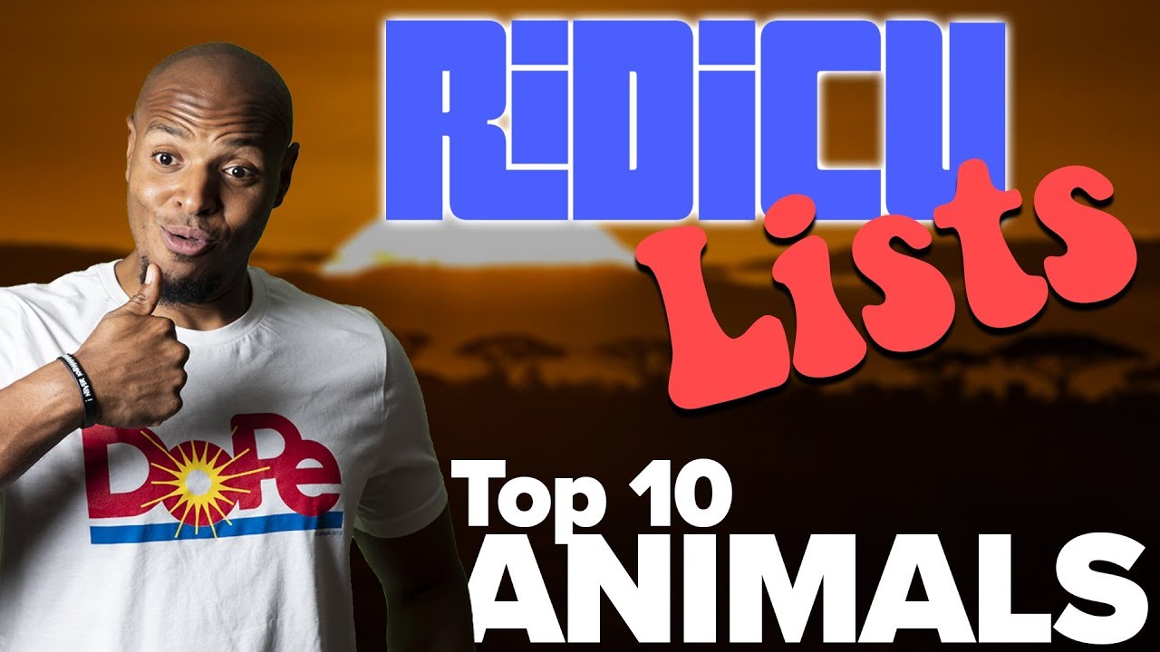 Ridicu-Lists: Top Ten Animals