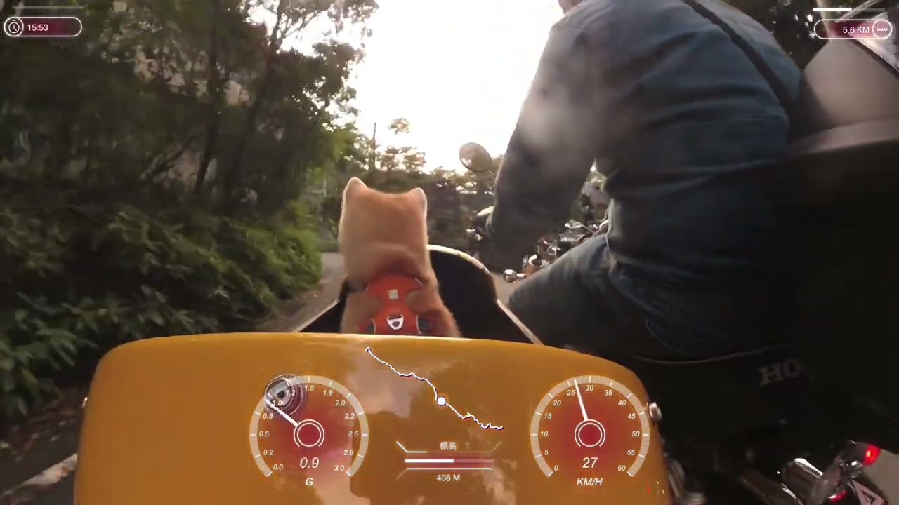 サイドカー犬　秋田犬の蒼空(そら)ちゃんと行く東海道(箱根湯本〜仙石原)