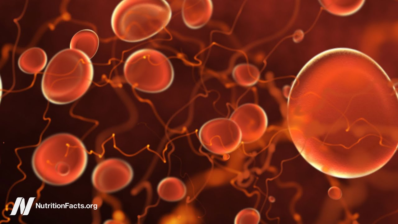 Targeting Angiogenesis to Lose Weight