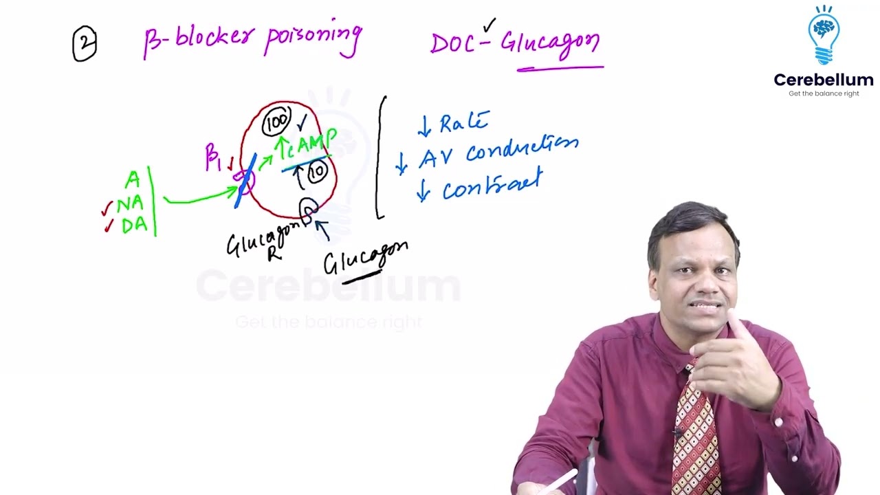 Insulin and oral anti diabetic agent (pancreas) grg Sir #mbbs #lecture #mbbslectures #grg #college 