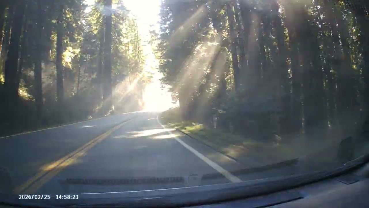 Driving through misty redwood forest on 101 near Crescent City CA.