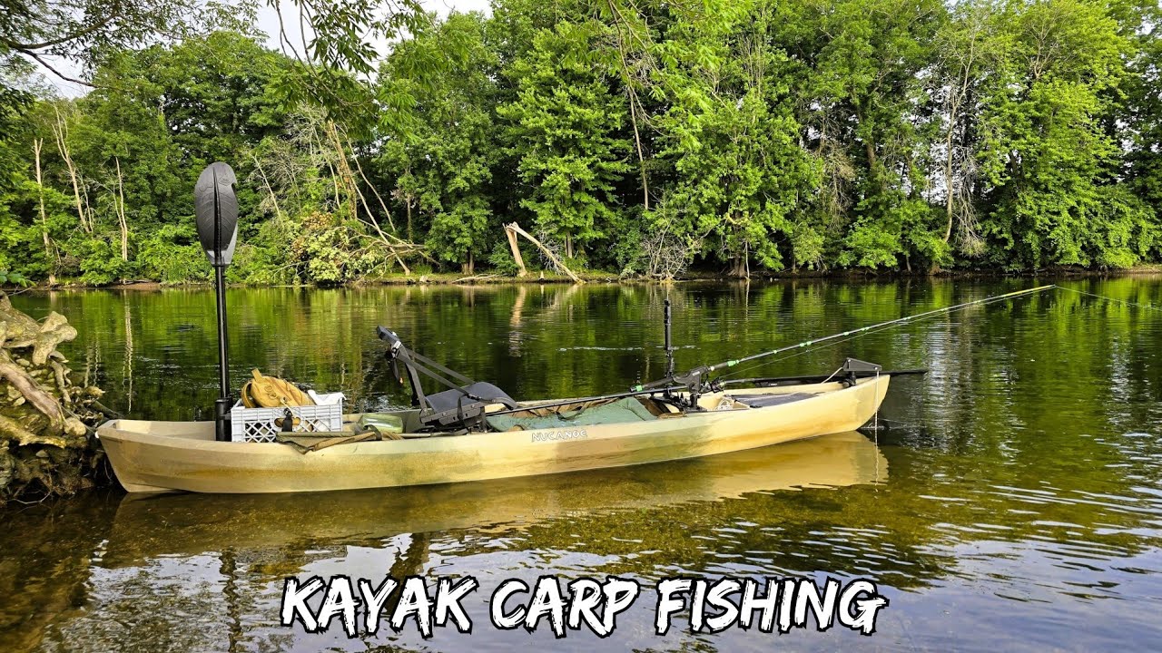 Kayak Carp Fishing || Wild River Carp