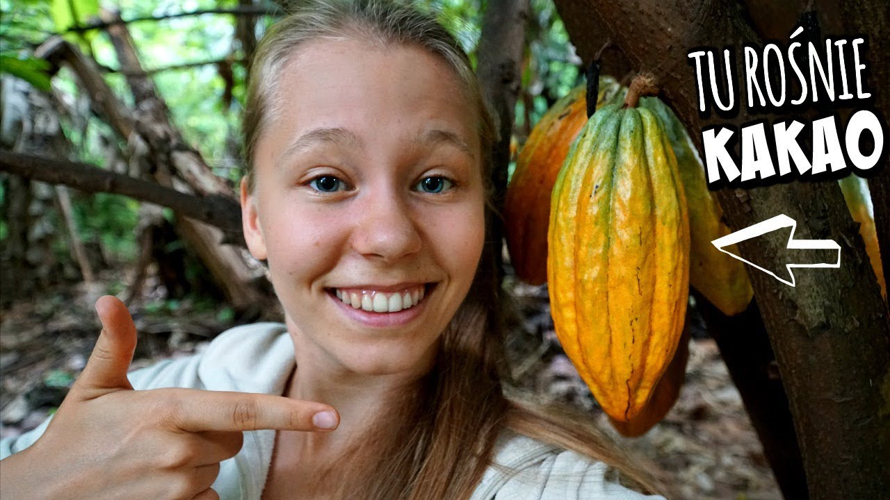 TAK ROSNĄ TROPIKALNE OWOCE! 🍌🍊🥑 Banany, Kakao, Ananasy, Mandarynki, Papaje i WIĘCEJ!