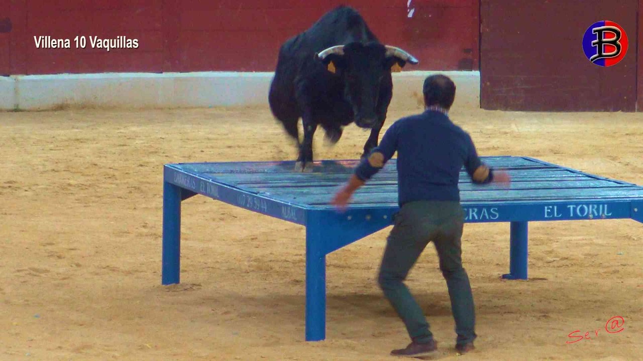 VILLENA 09 Al Final Llegaron los Revolcones