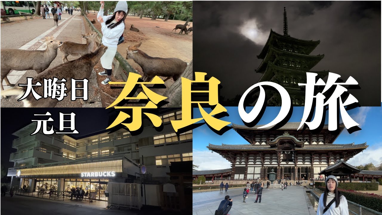【奈良#1】年越しは古都奈良で！ 歴史あふれる世界遺産にふれる旅【近畿一周旅】/テスラ（Tesla）と旅する同棲カップル