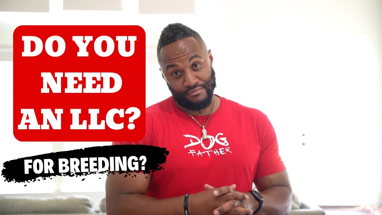 Breeding Business LLC (Вам нужен?)