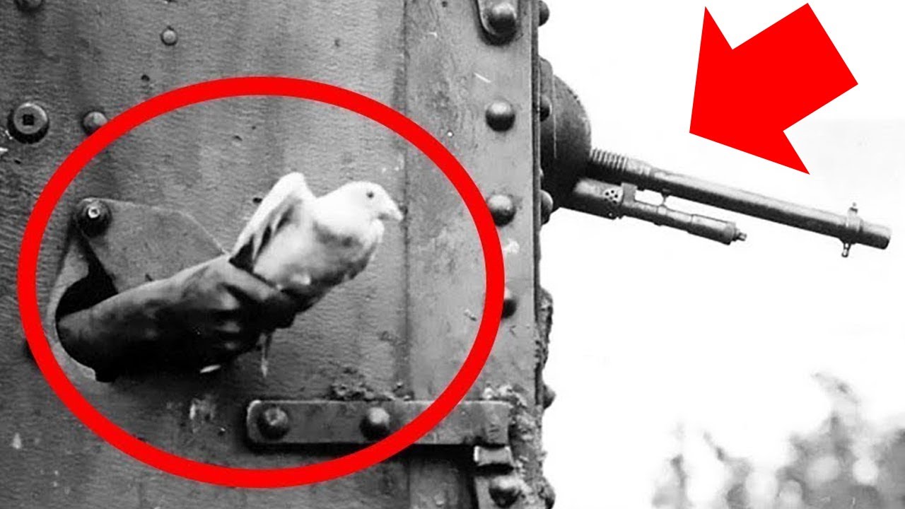 5 Secret Military Codes that have Never Been Solved