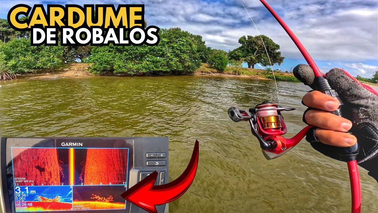 🎯 INSANO esse CARDUME de ROBALOS - 