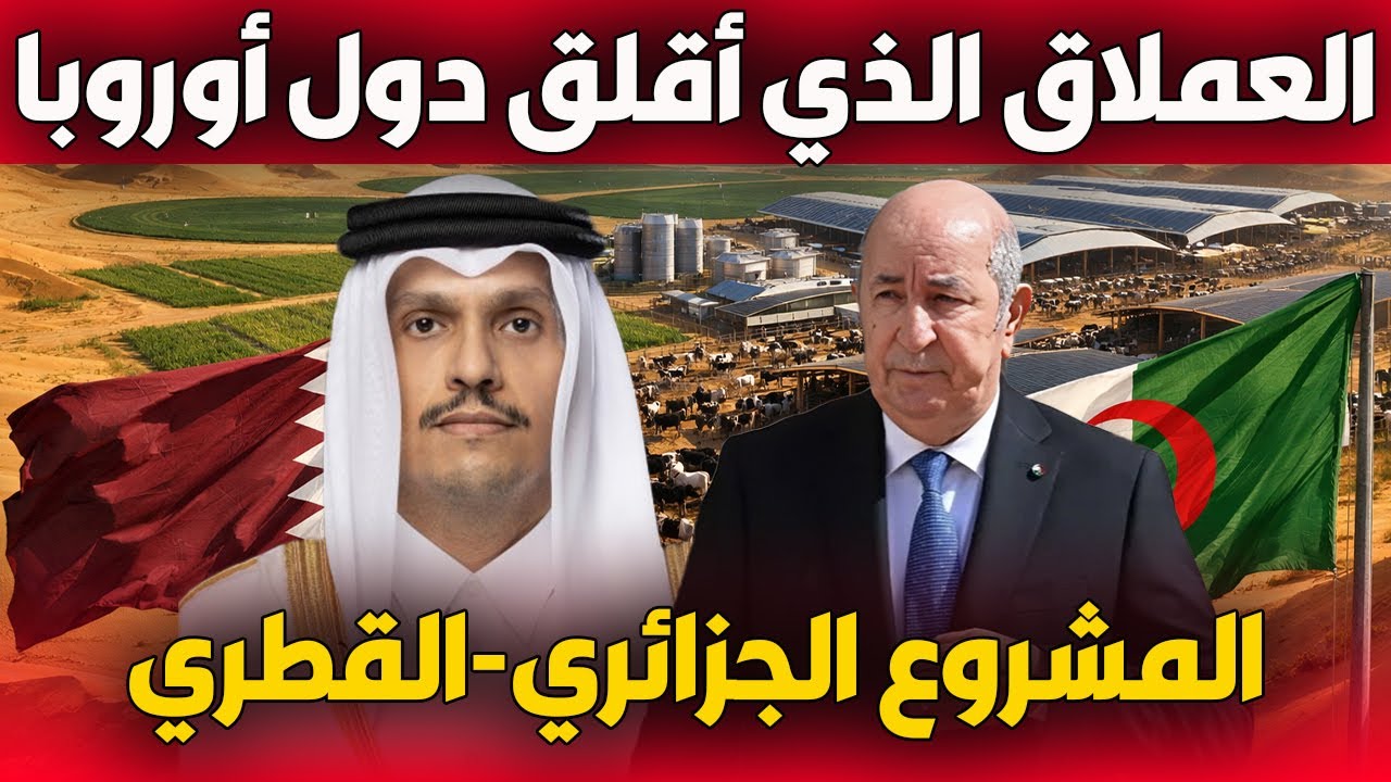 المشروع الجزائري القطري… العملاق الذي أقلق فرنسا وسويسرا وهولندا