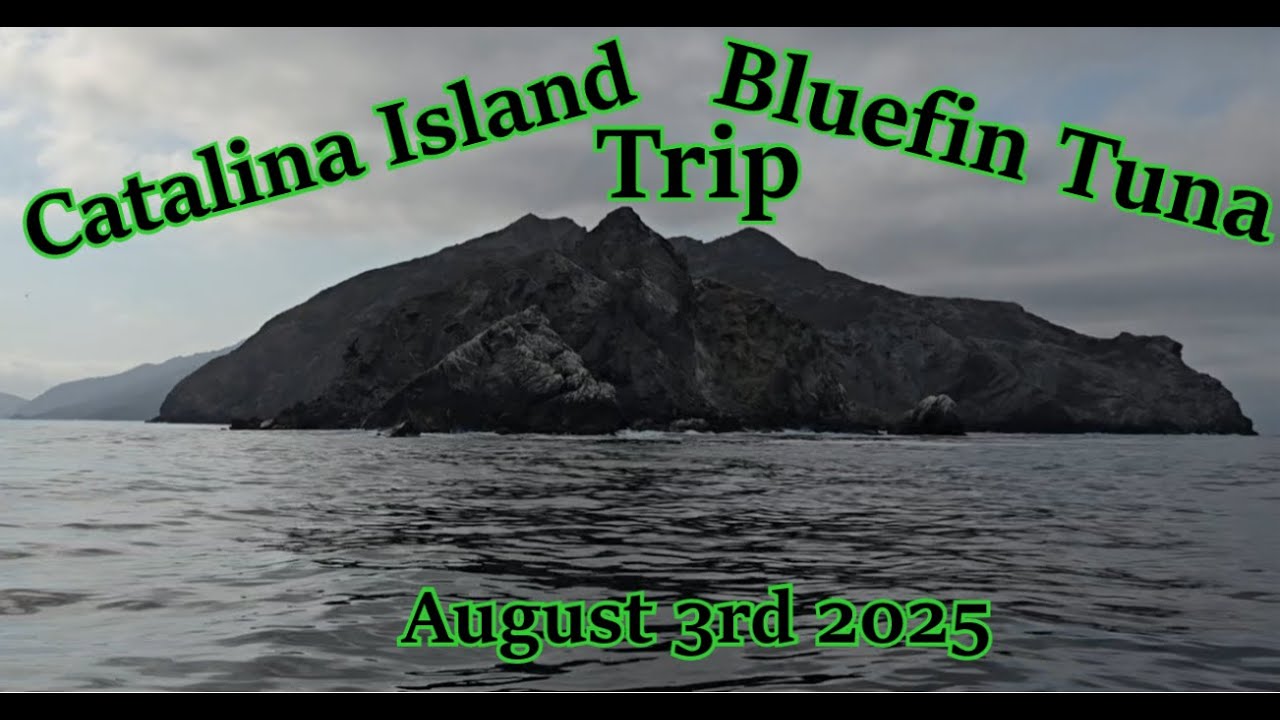Pursuit Sportfishing Bluefin Tuna August 3rd 2025