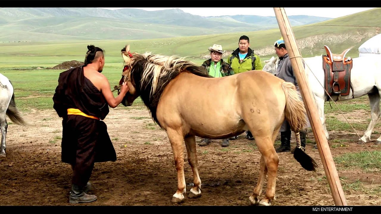 B.Boldbaatar CTA - nutgaa gvisen ajnai