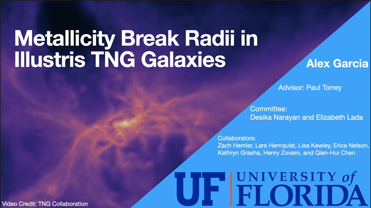 Metallicity Break Radii in IllustrisTNG Galaxies