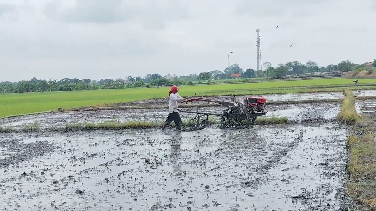 Tractor Almost Stuck in Extreme Mud | Real Farming Life 001