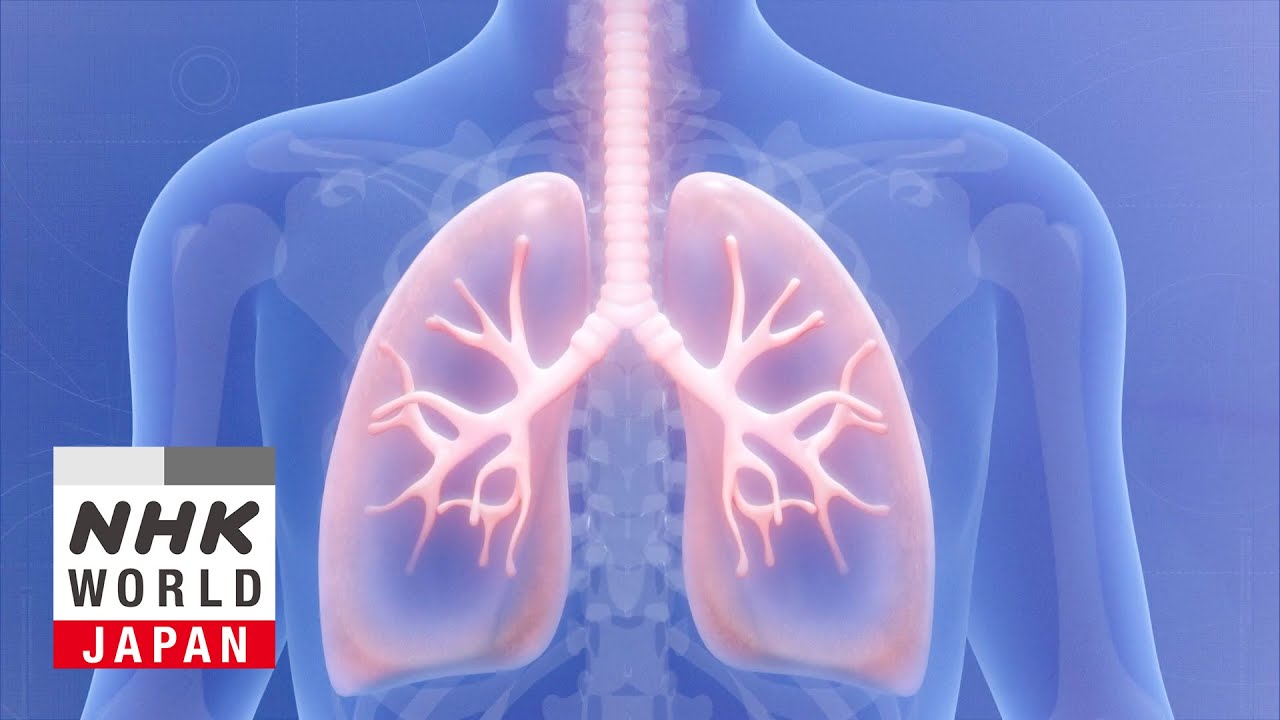 Treating COPD for Longevity - Medical Frontiers