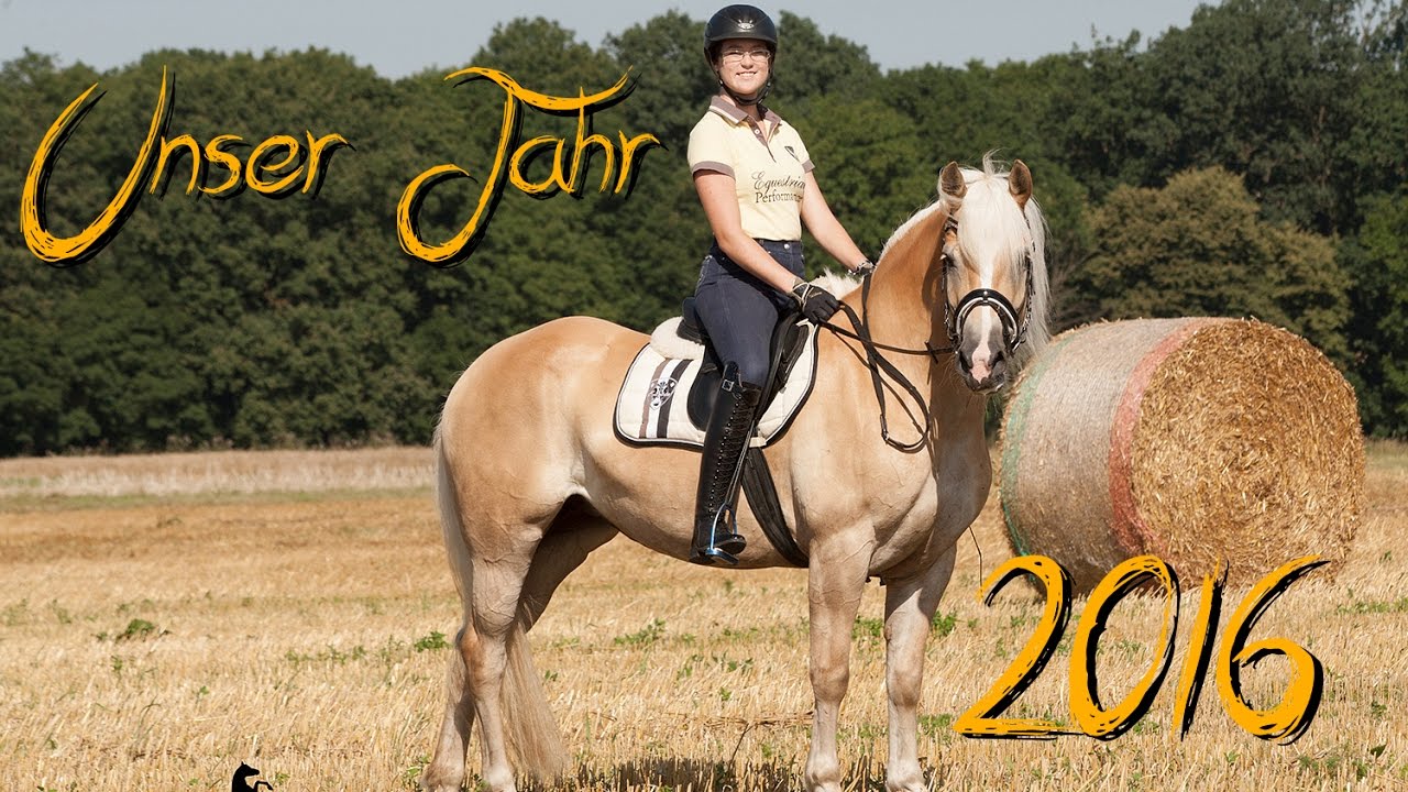 Unser Jahr 2016