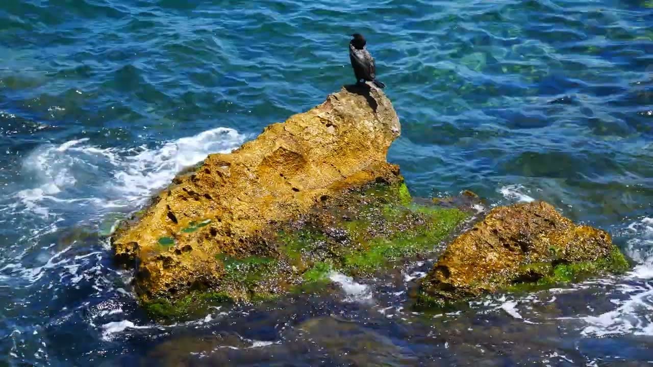 L ESCALA - Alegría de la Mar - 4K- Panasonic GH5 + GoPro8