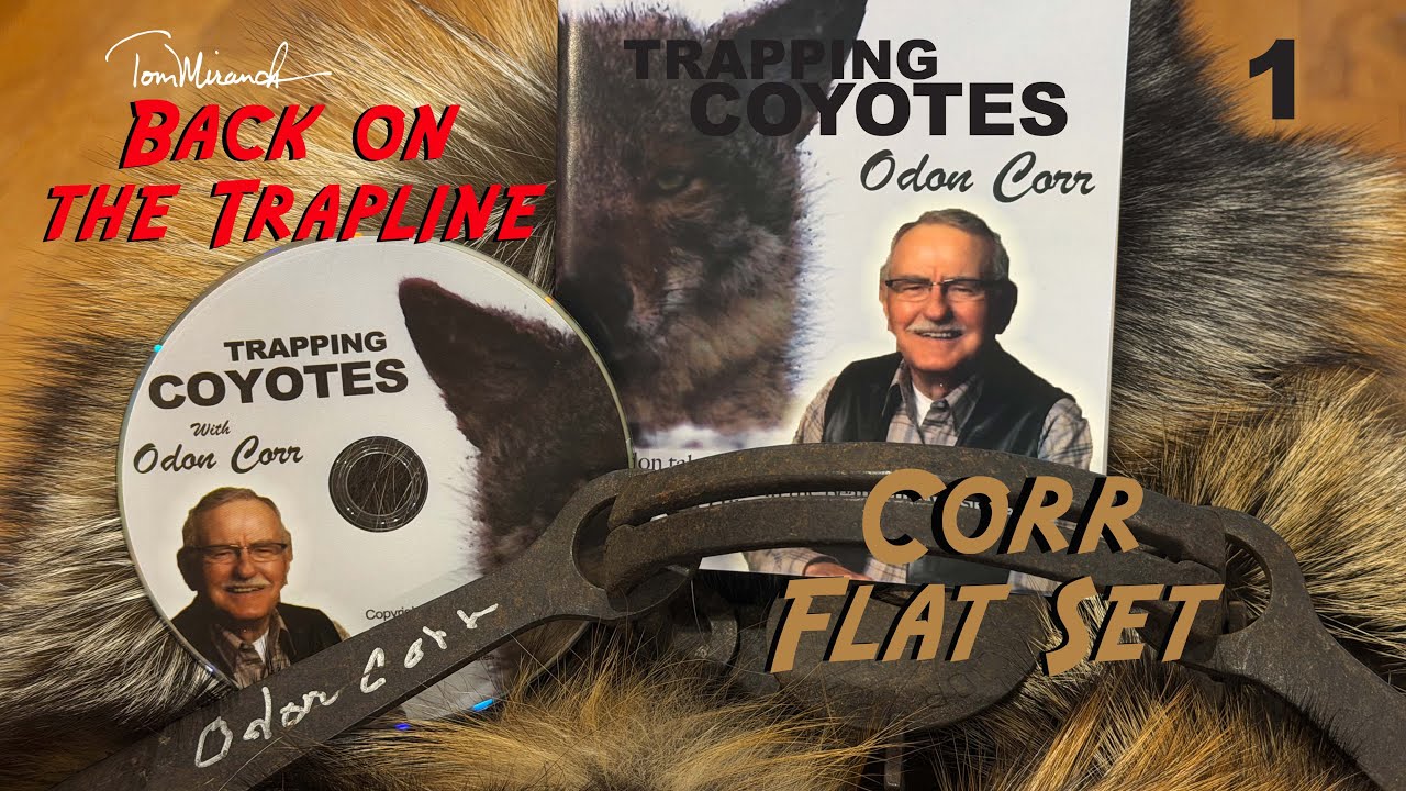 CORR FLAT SET