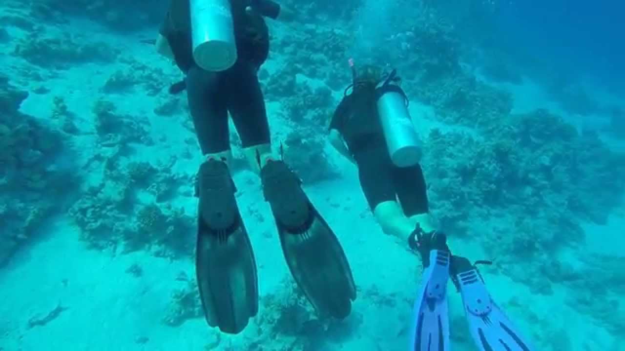 Final PADI Open Water Dive