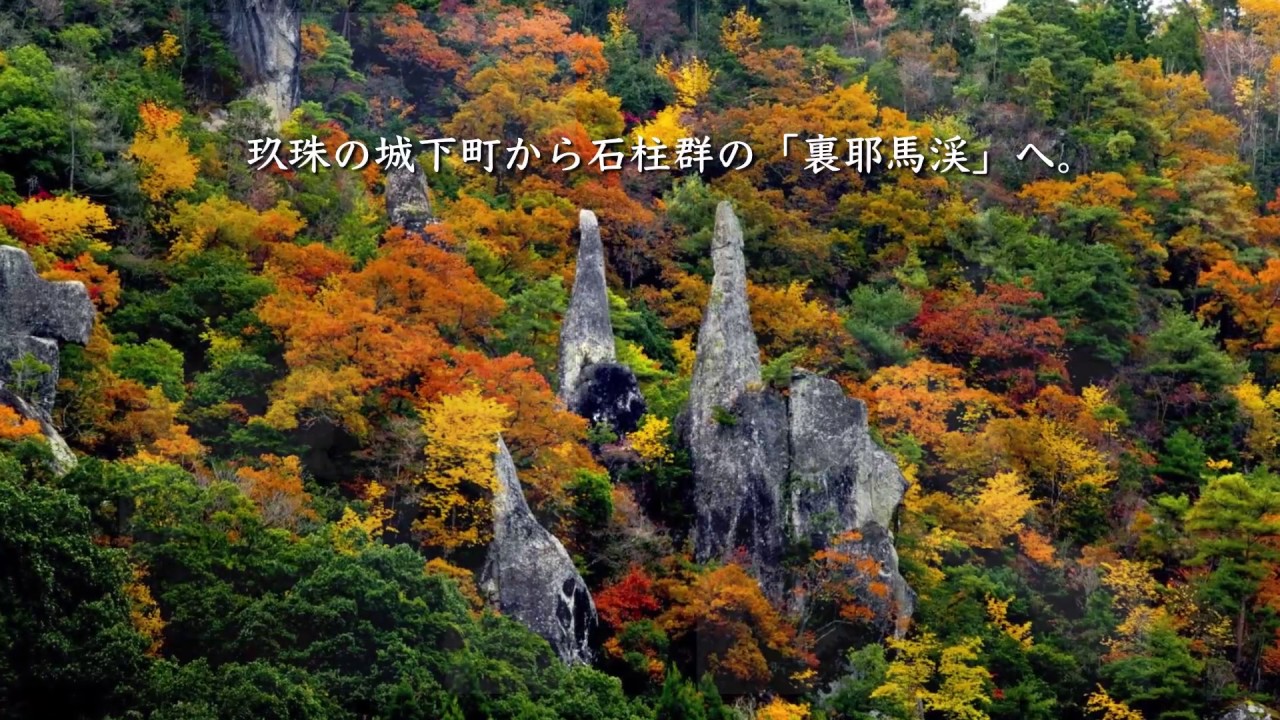 【日本遺産】やばけい遊覧～大地に描いた山水絵巻の道をゆく～
