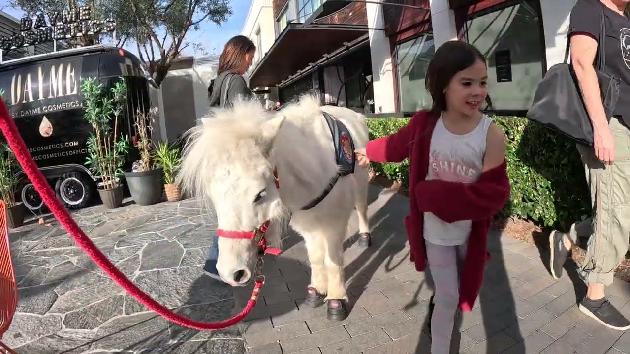 Lt. Rowdy saying hello at Topanga Village 12724 10 of 10
