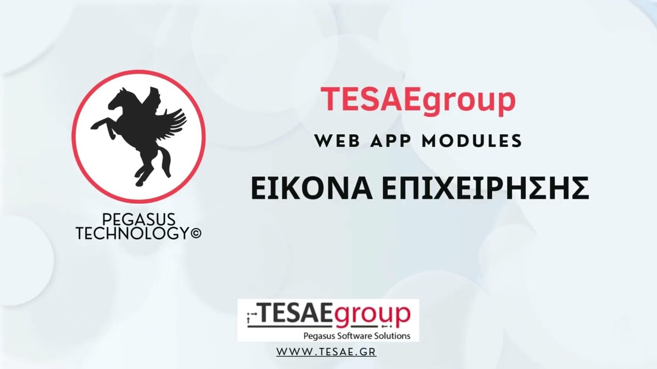 Pegasus Web App // Module Εικόνα Επιχείρησης