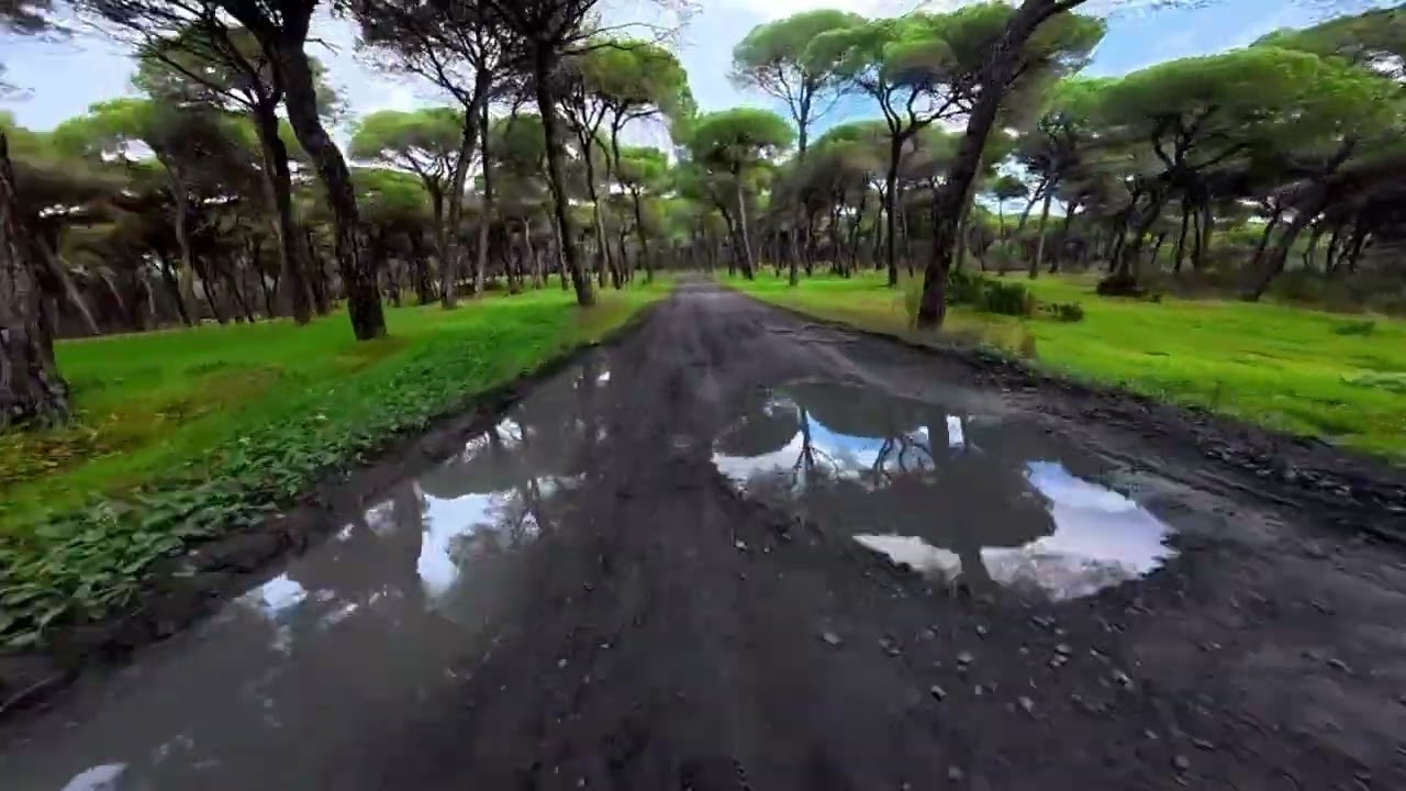 Gravel por Huelva 11 02 26  ‐ Hecho con Clipchamp mp4
