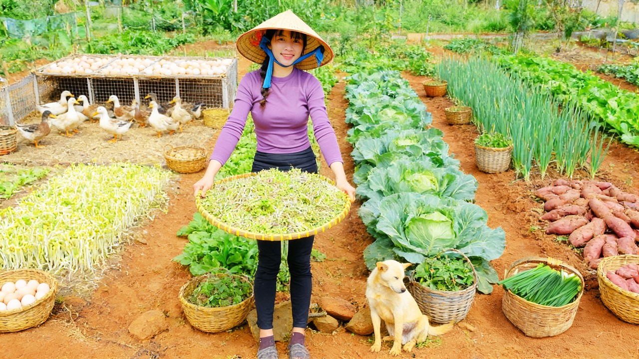 Harvest, Sell, Cook With: Bean Sprouts, Duck Eggs, Cabbage, Green Onions, Sweet Potatoes - Girl Farm