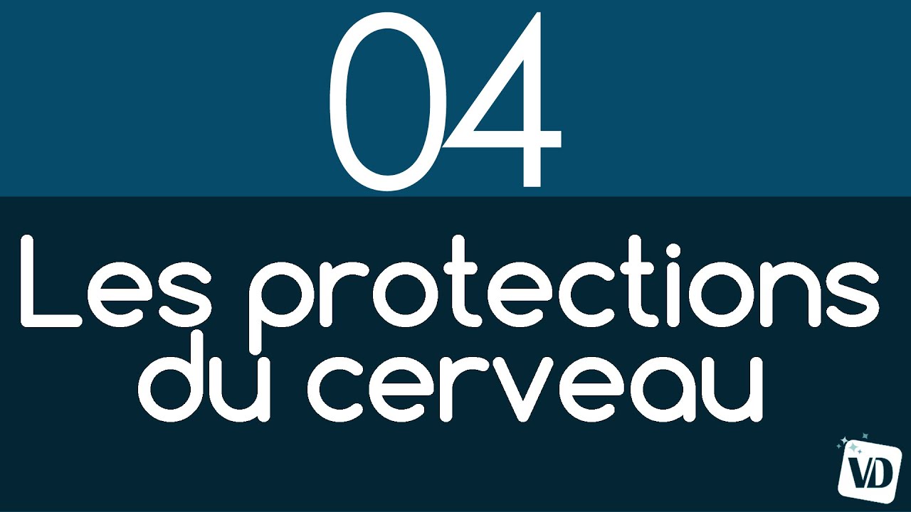 Le cerveau en 2 minutes : les DIFFÉRENTES PROTECTIONS du CERVEAU