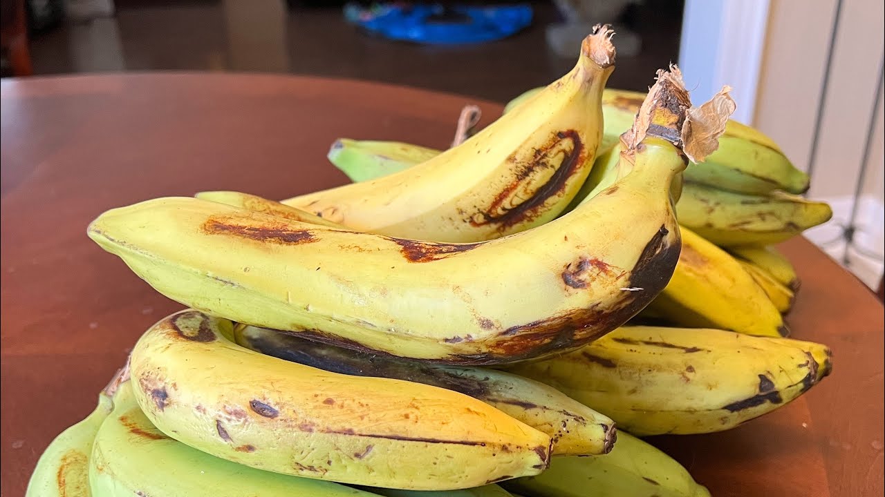 Banana Gros Michel to Cavendish taste test comparison