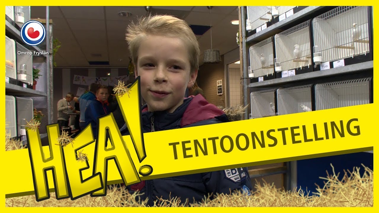 HEA! Vogeltentoonstelling
