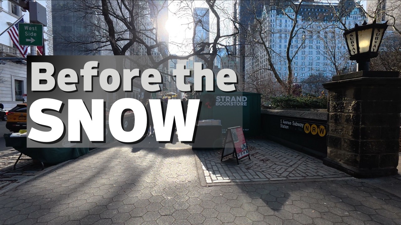 5th Avenue NYC Walk (Before the Snow) | Strand Bookstore Stand