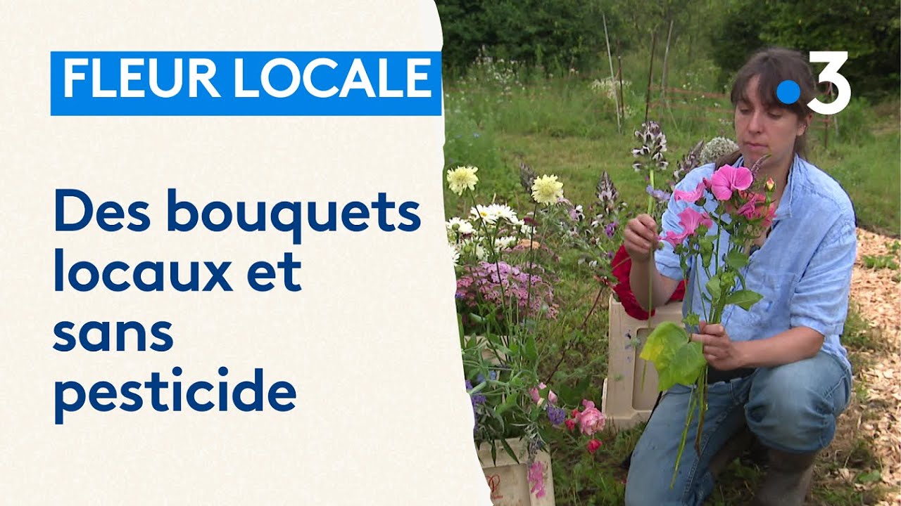 Bouquets de fleurs sans pesticide