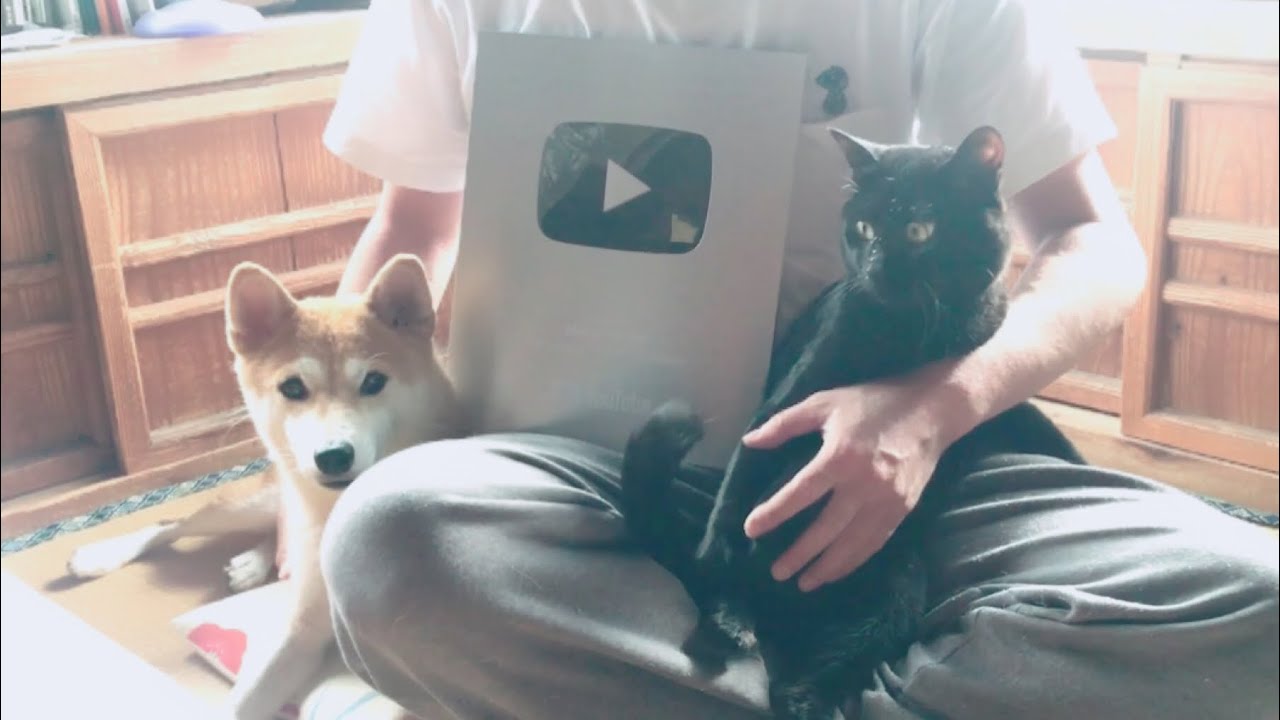 銀の再生ボタンとこれまでのこと Previously on Momo and Ten