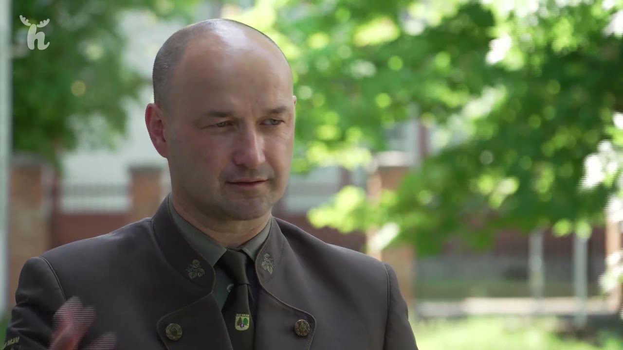 Aktivity  VLM SR &scaron;.p. v oblasti realiz&aacute;cie protipovodňov&yacute;ch opatren&iacute; a využ&iacute;vania such&yacute;ch poldrov