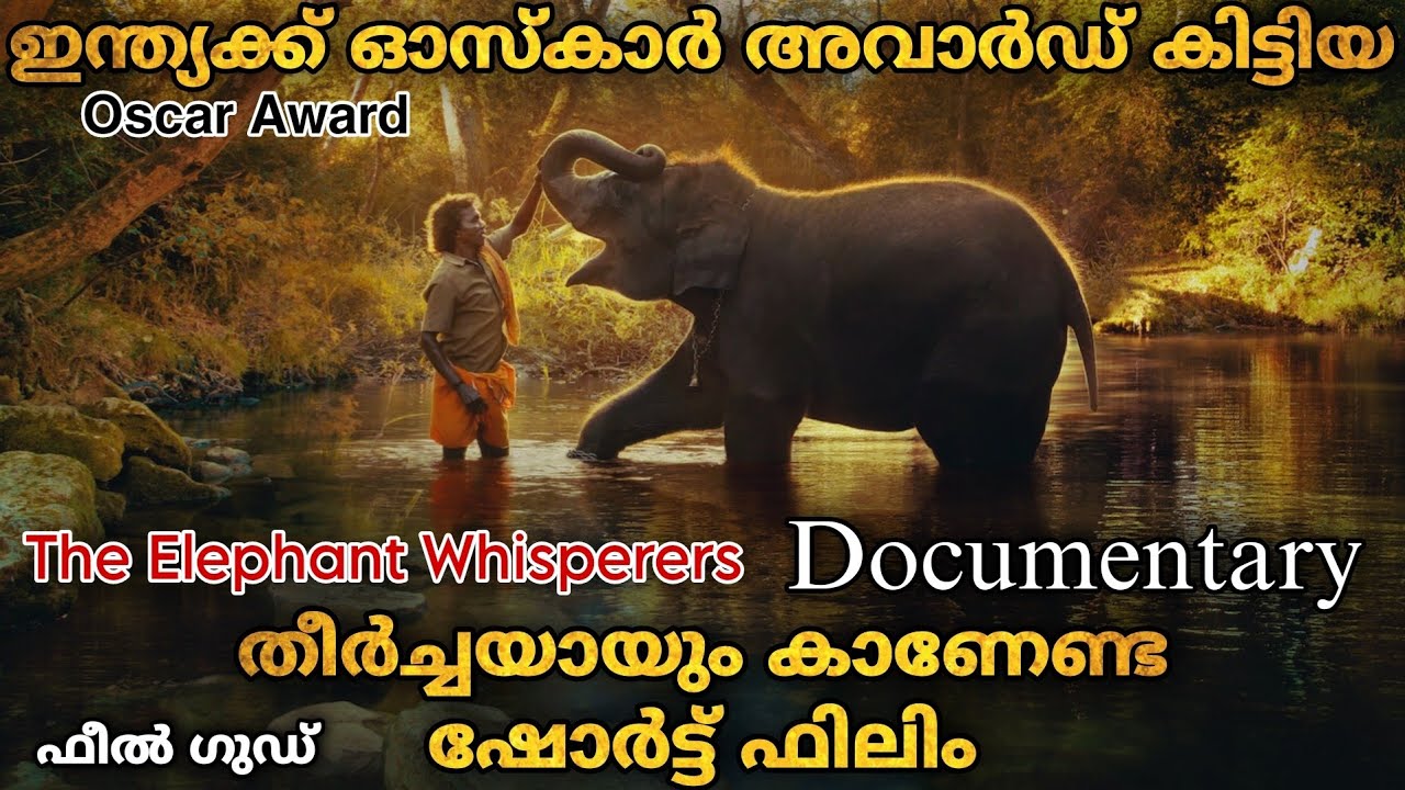 ഓസ്കാർ നേടിത്തന്ന ഇന്ത്യൻ ഷോർട്ട് ഫിലിം ഡോക്യുമെൻററി തീർച്ചയായും കണ്ടിരിക്കണം...😃