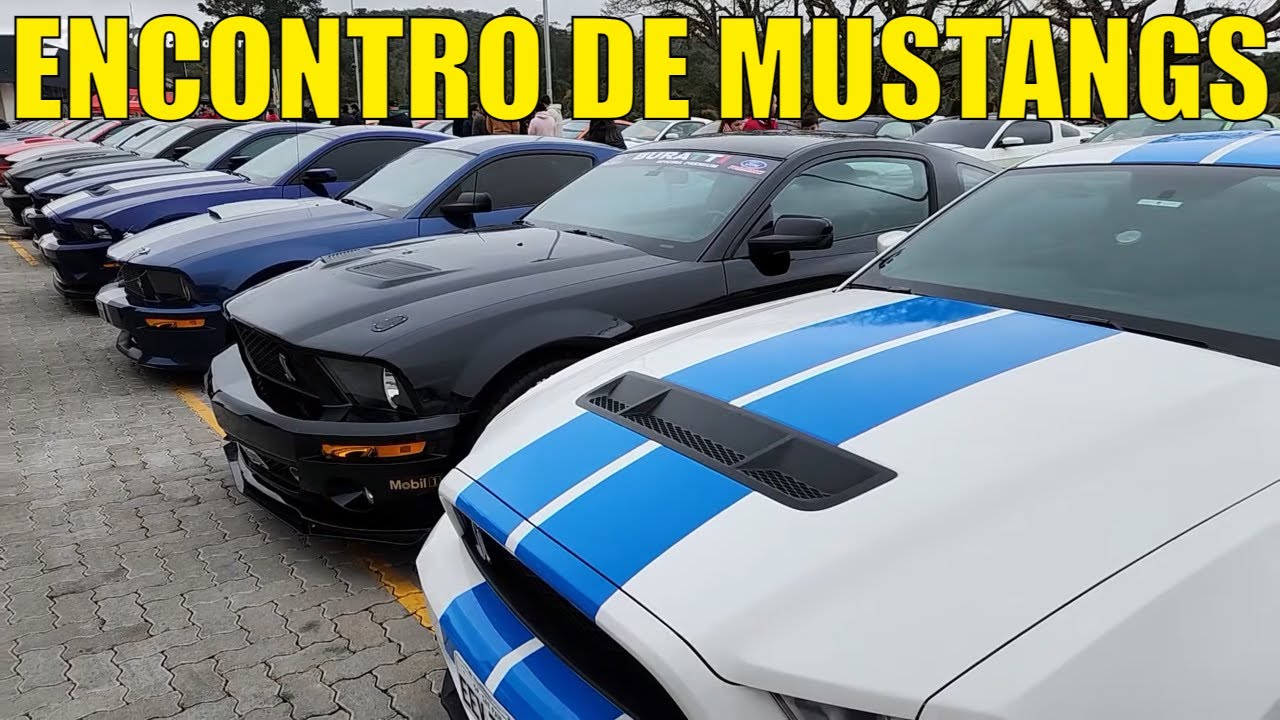 O maior encontro independente de Ford Mustangs do Brasil