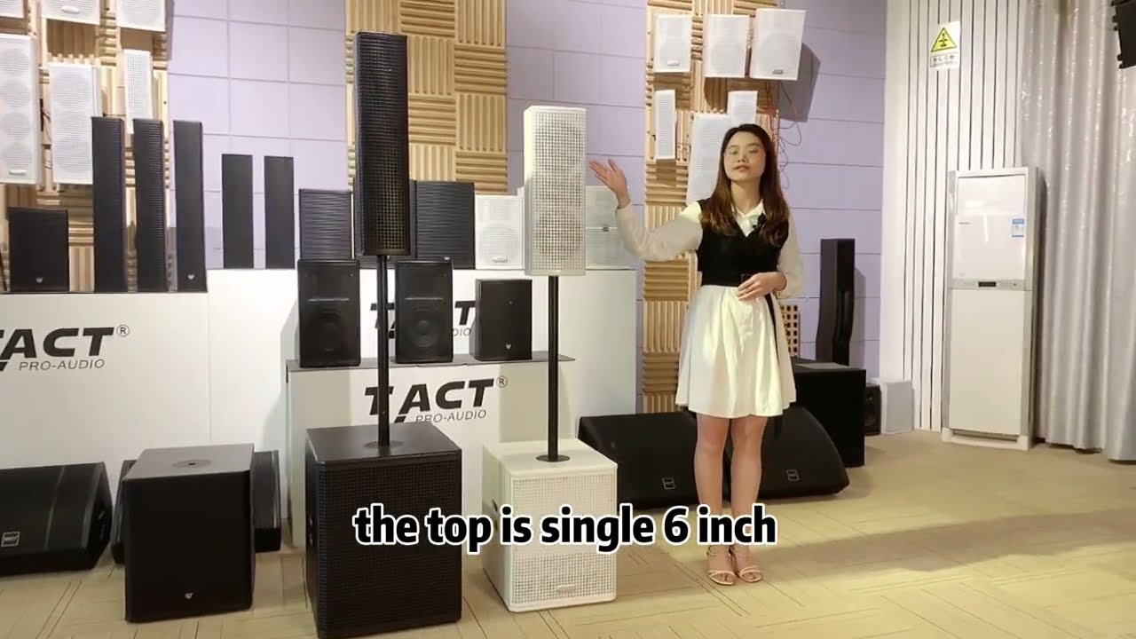TACT PRO AUDIO single 6 inch dj sound system column speaker set