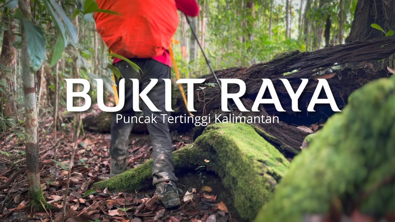 Gunung Bukit Raya | 6 Hari di Belantara Kalimantan Ft Fiersa Besari (Part 1)