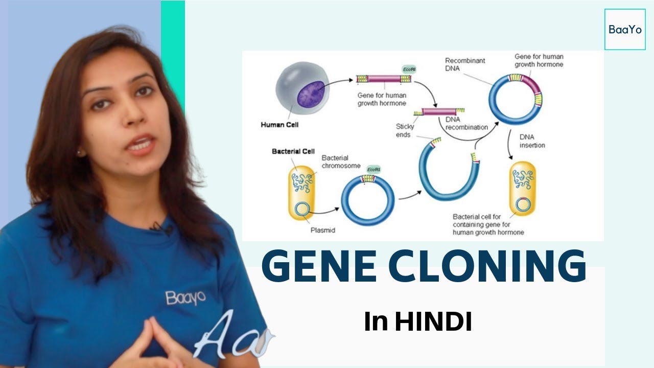 Gene Cloning technique Part -1 | Steps involved in gene cloning Explained | In Hindi