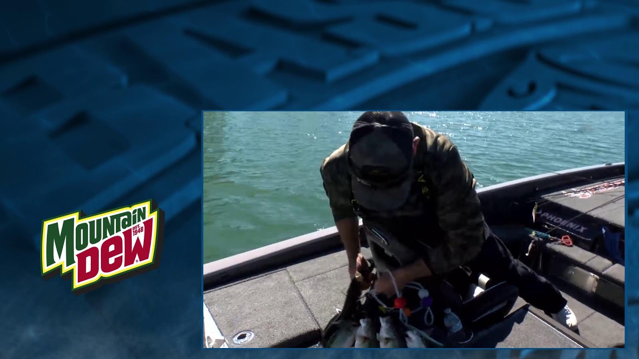2026 BASS YouTube Live Cast - Bassmaster Elite Series at Lake Martin, AL - Halftime Show - Day 1