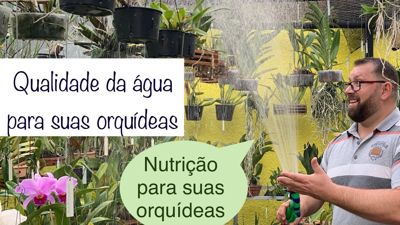 QUALIDADE DA ÁGUA PARA ADUBAR SUAS ORQUÍDEAS ! SÉRIE NUTRIÇÃO PARA SUAS ORQUÍDEAS (PARTE 6/6)