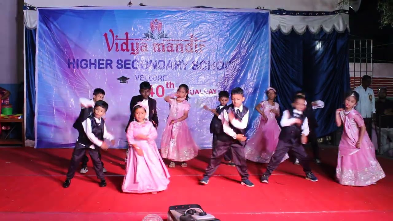 VIDYA MANDIR SCHOOL