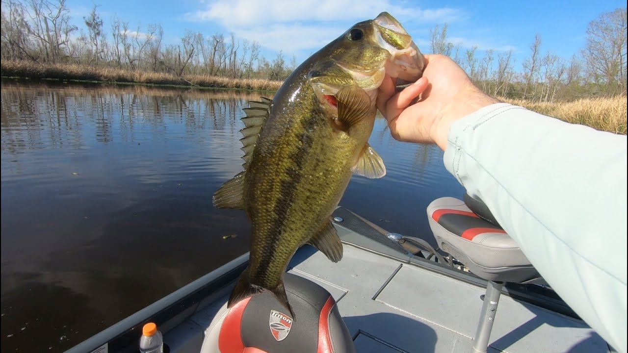 Punchin' Em Out in Des Almonds, La