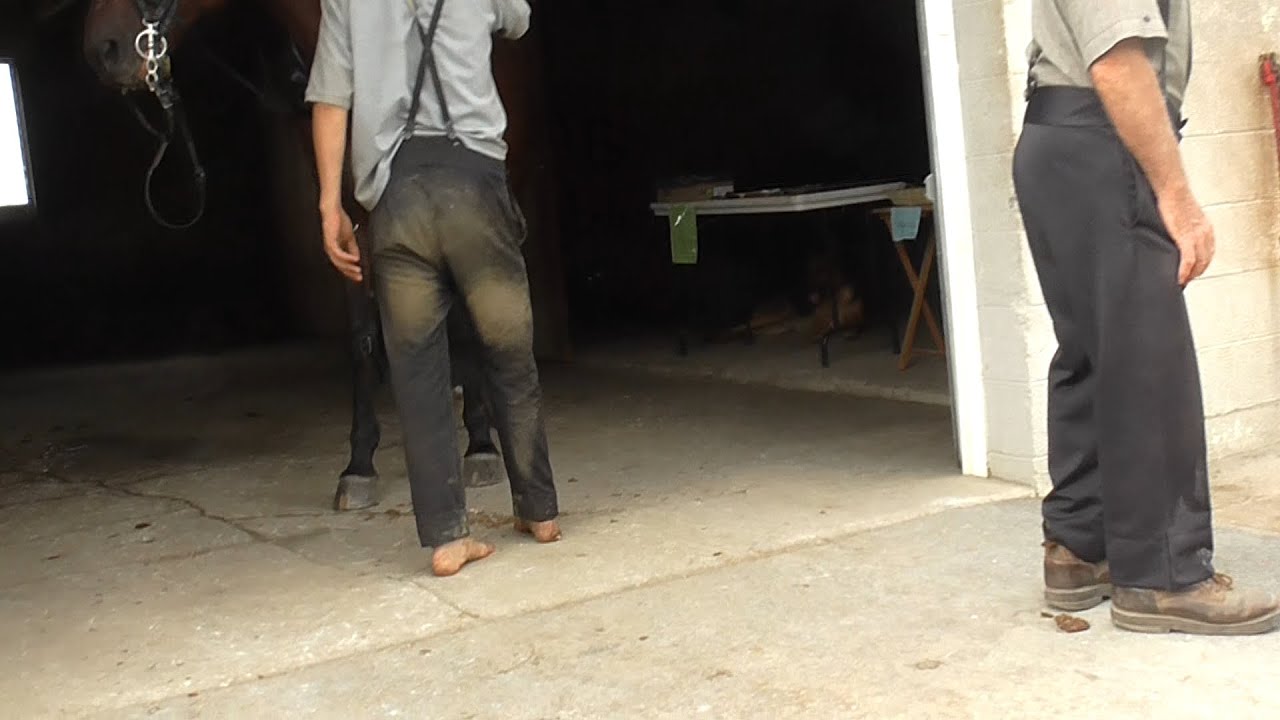 Amish boy barefoot with HORSE!