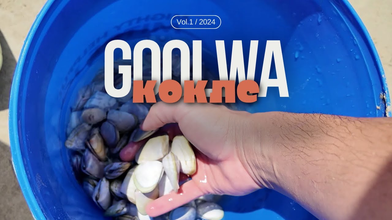 Что можно поймать в Австралии прямо руками (Goolwa Kockles - Pipis)