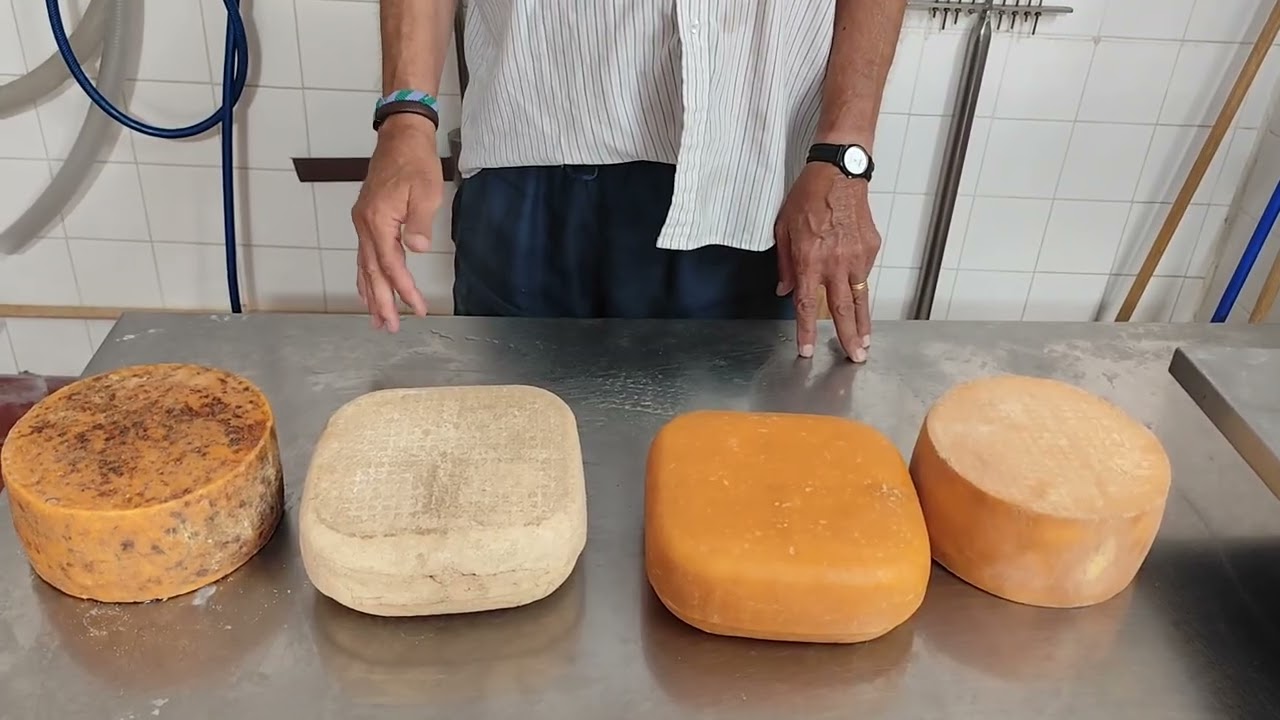Tabla de quesos: vertical de Mimolette