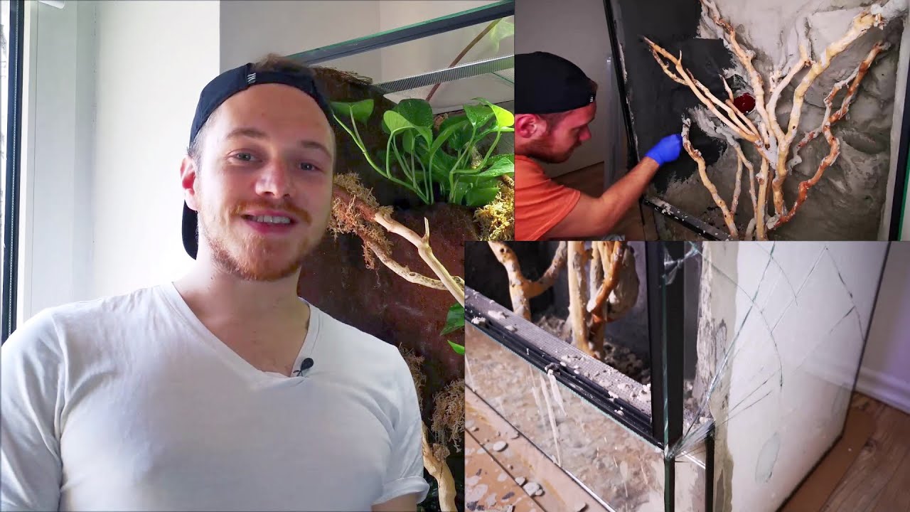 Anleitung- Terrarium Rückwandbau-  Naturrückwand selber Bauen
