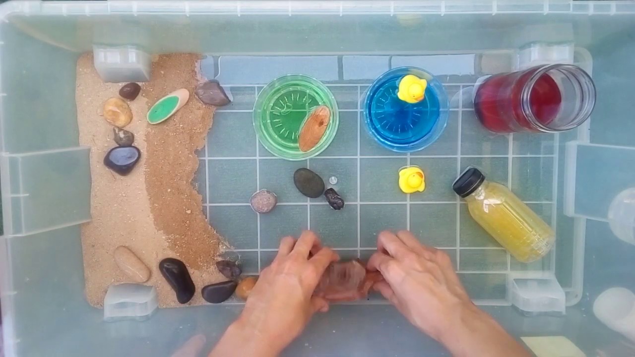 Laboratorio de cuentos con Va de Cuentos. ACUARIO